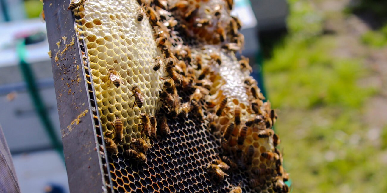 anna-reiff-380202-unsplash