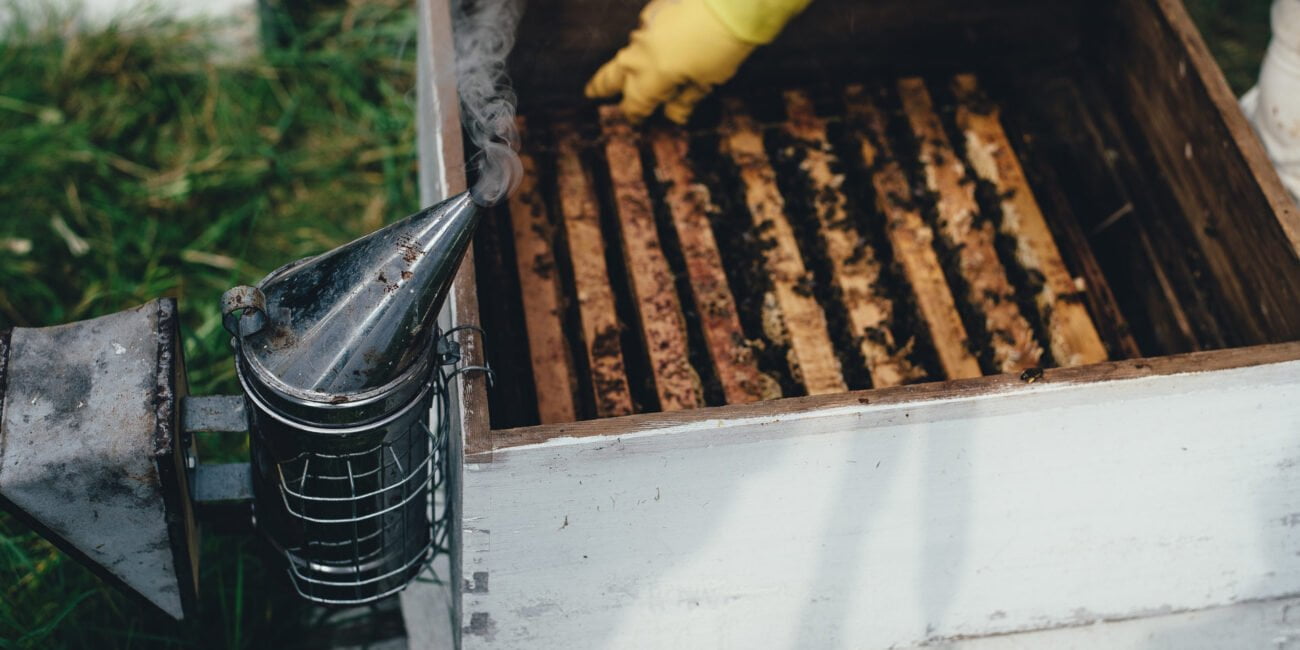 annie-spratt-418645-unsplash